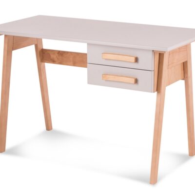 Bureau ELIN